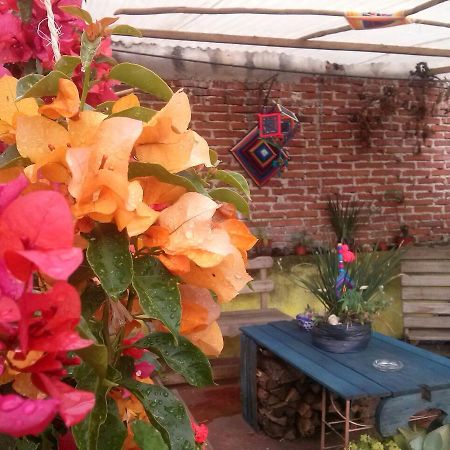 Hostal Nahui Ollin San Cristóbal de Las Casas Extérieur photo
