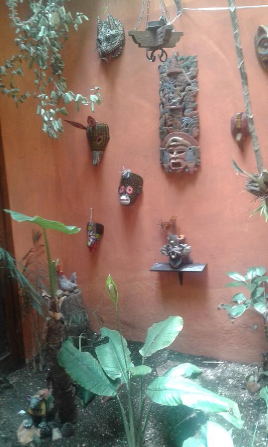 Hostal Nahui Ollin San Cristóbal de Las Casas Extérieur photo