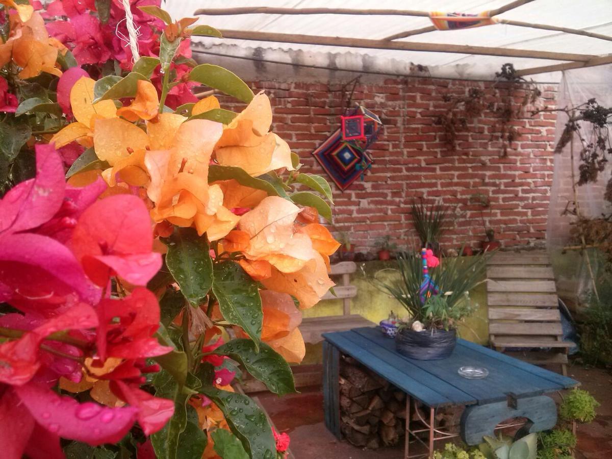 Hostal Nahui Ollin San Cristóbal de Las Casas Extérieur photo